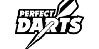 Perfect Darts Punta Acero